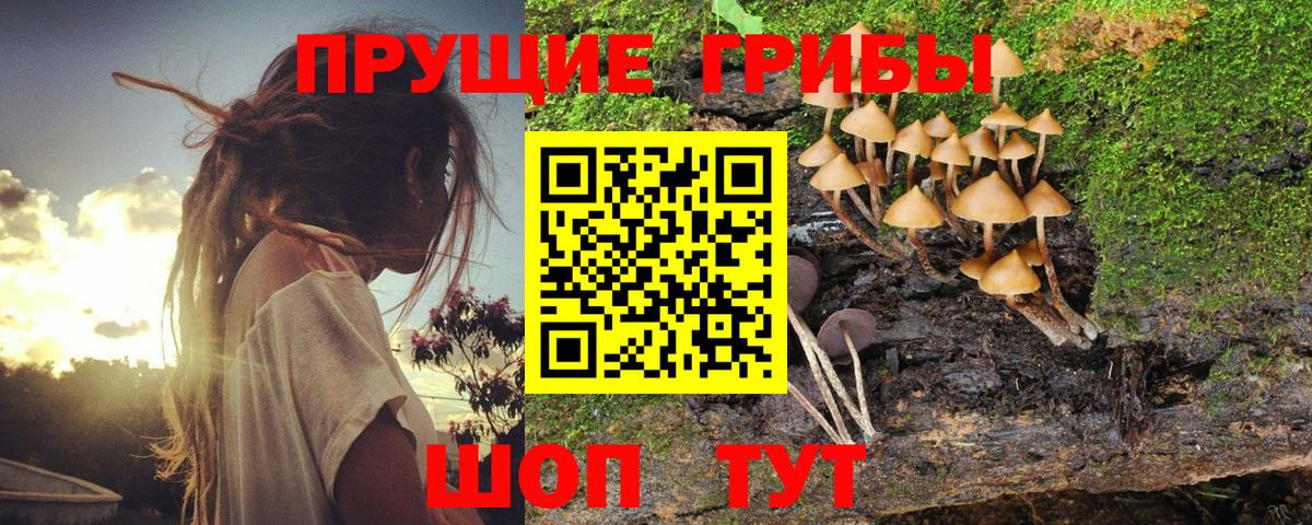 Галлюциногенные грибы Magic Shrooms Боровичи