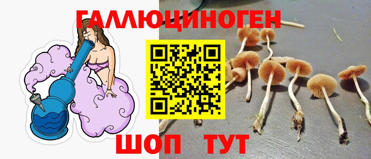 Боровичи  Псилоцибиновые грибы ЛСД  где продают наркотики  Вход с VPN 